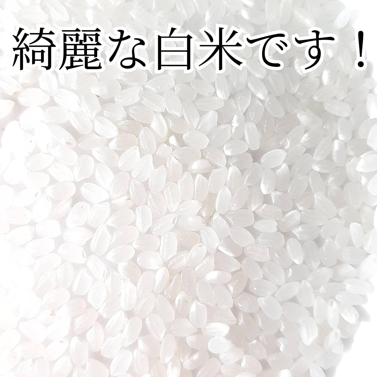 シルクホワイト様 彩のきずな20kg玄米